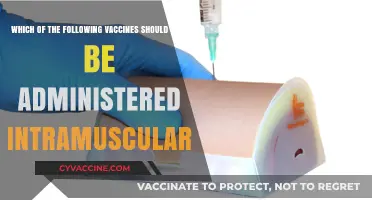 Intramuscular Vaccines: Essential Administration Guidelines for Safe Immunization