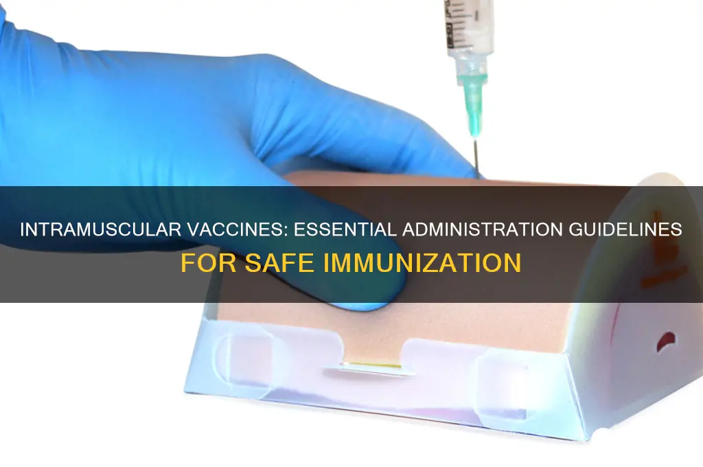 which of the following vaccines should only be administered intramuscularly