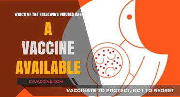 Vaccines Available: Which Viruses Are Preventable Today?
