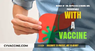 Preventable Hepatitis Strains: Which Vaccines Offer Protection?