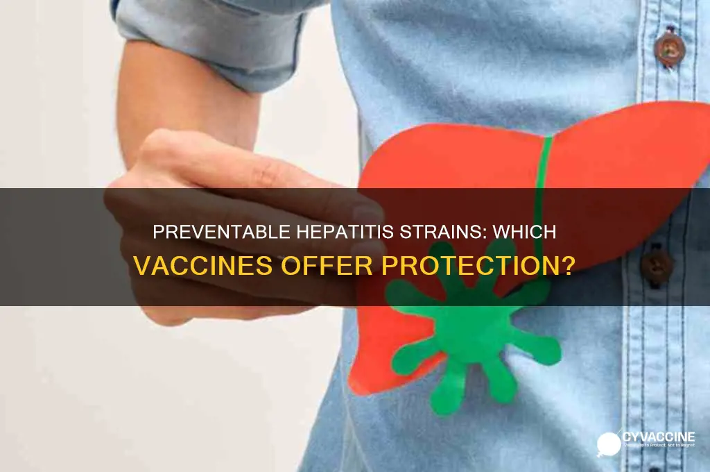 which of the hepatitis strains are preventable with a vaccine