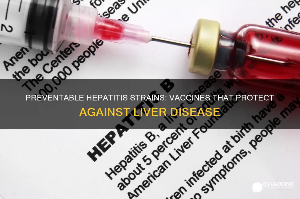 which of the hepatits strains are preventable with a vaccine