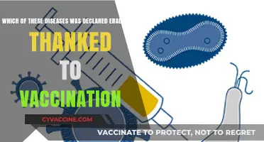 Vaccination Triumph: Eradicating Deadly Diseases Through Global Immunization Efforts