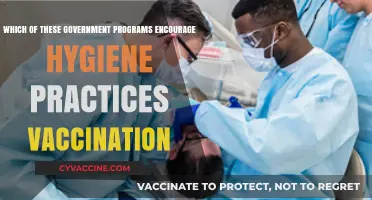 Government Programs Promoting Hygiene and Vaccination: A Comprehensive Guide