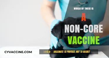 Non-Core Vaccines: Identifying Optional Immunizations for Your Pet's Health