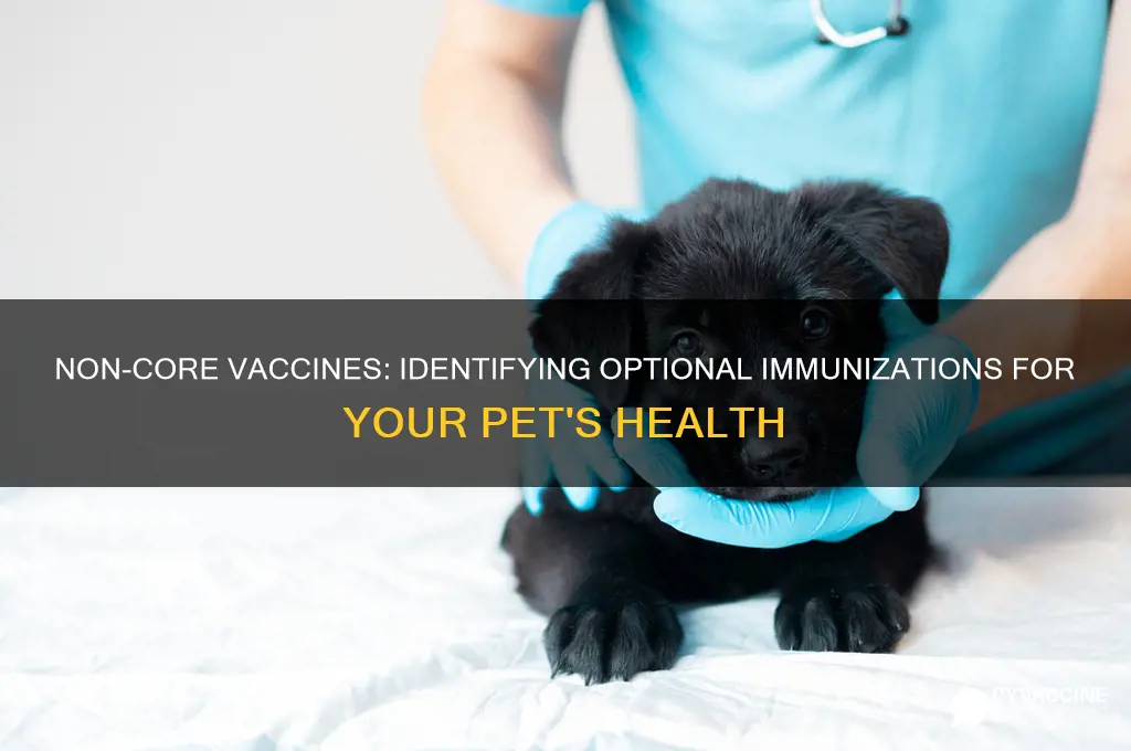 which of these is a non-core vaccine