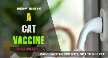 Unraveling the Mystery: Which Vaccine Isn't for Your Feline Friend?