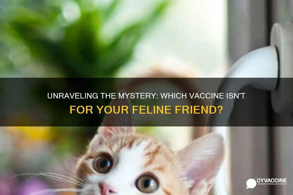 which of these is not a cat vaccine