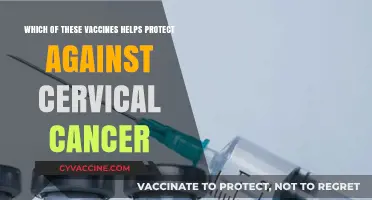 Cervical Cancer Prevention: Which Vaccine Offers the Best Protection?
