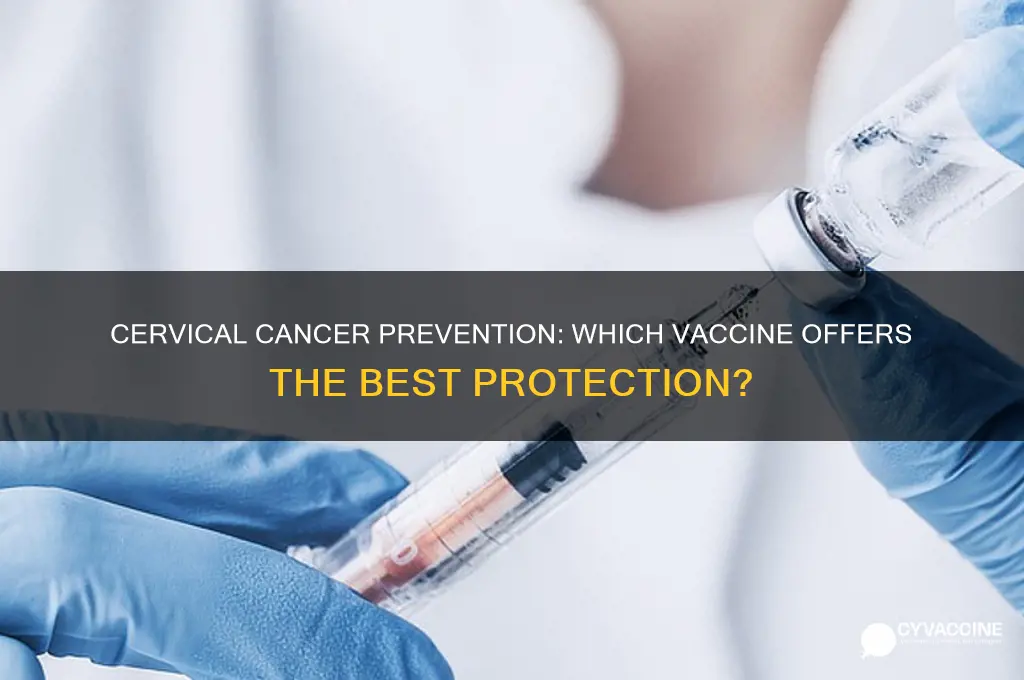 which of these vaccines helps protect against cervical cancer