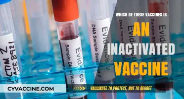 Understanding Inactivated Vaccines: Which One Fits the Category?