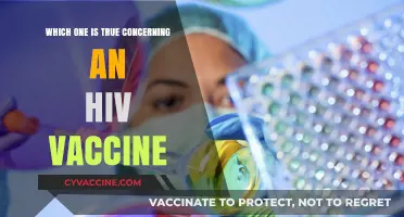 HIV Vaccine: Separating Fact from Fiction in Current Research