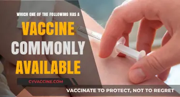 Commonly Available Vaccines: Which Diseases Are Easily Preventable Today?