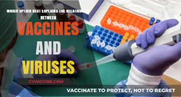Vaccines vs. Viruses: Understanding the Protective Relationship and Immunity