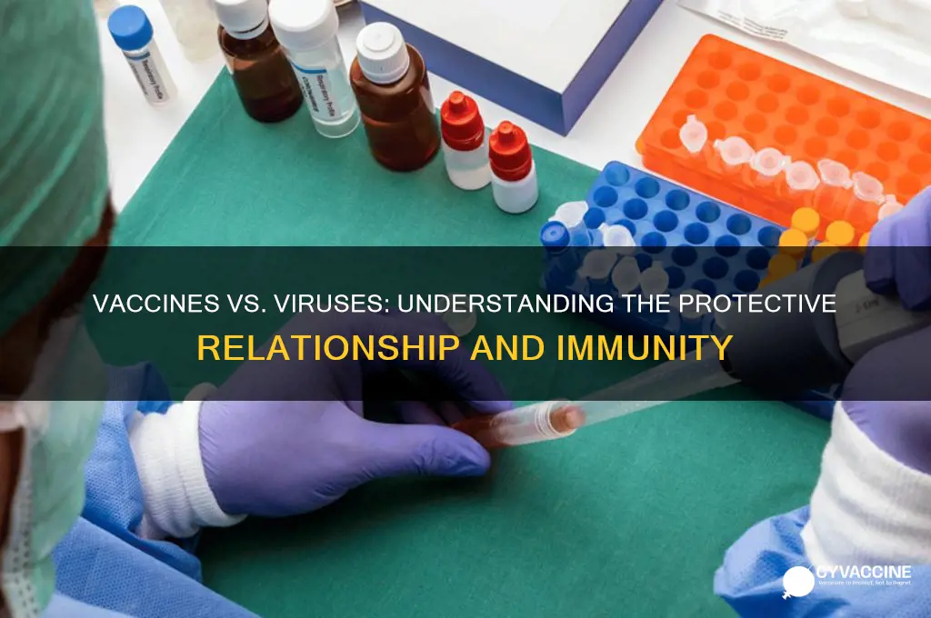 which option best explains the relationship between vaccines and viruses
