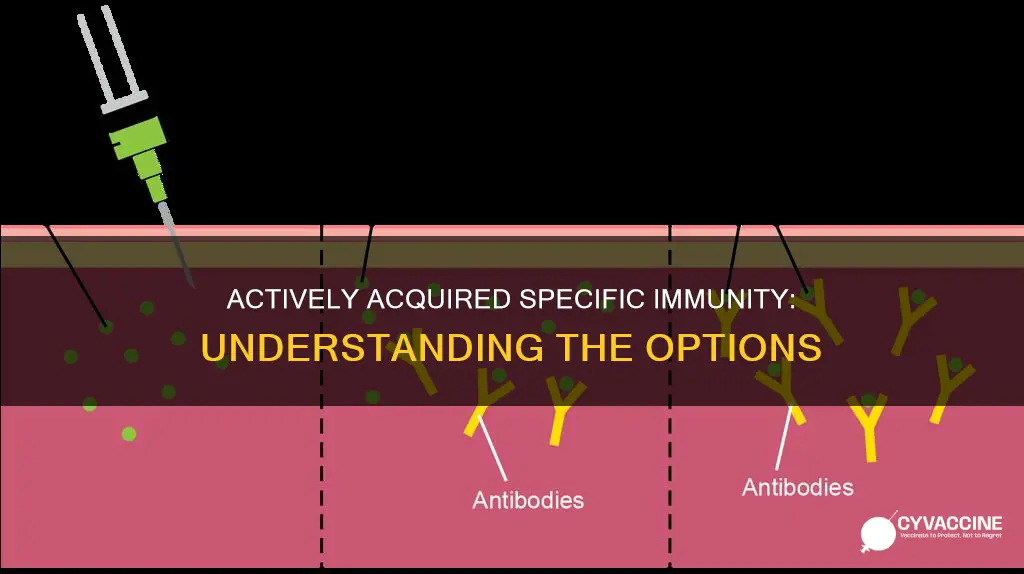 which option is an example of actively acquired specific immunity