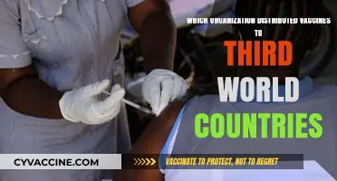 Global Vaccine Distribution: Key Organizations Supporting Third World Countries