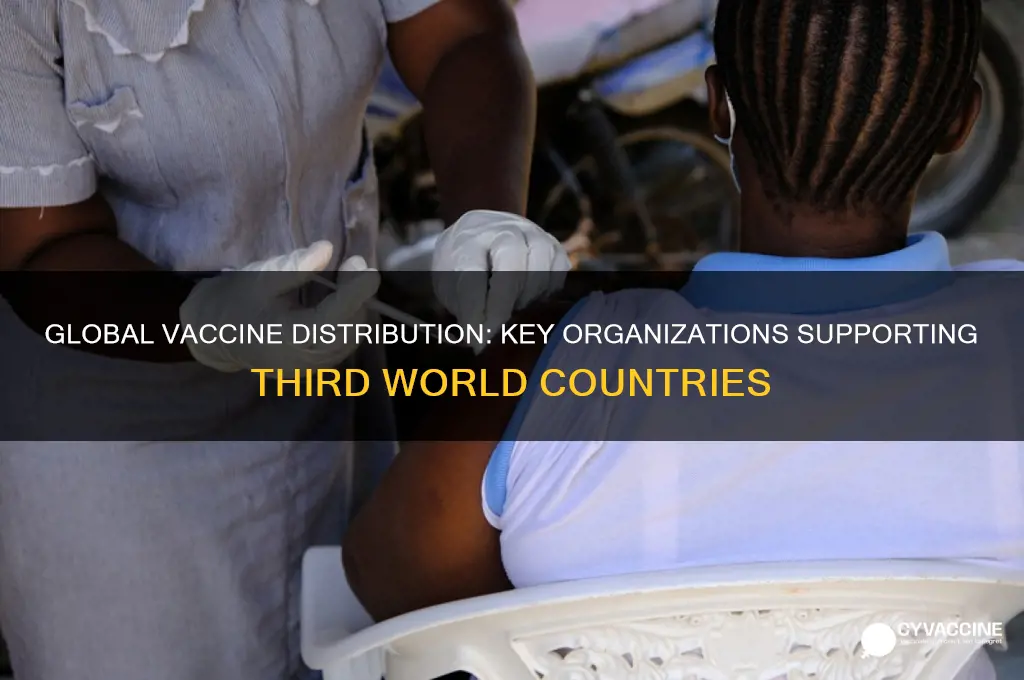 which organization distributed vaccines to third world countries