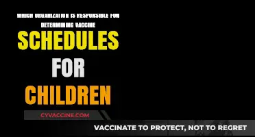 Who Sets Children's Vaccine Schedules? Key Organizations Explained