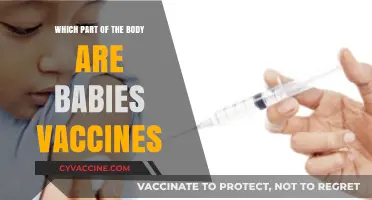 Where Do Baby Vaccines Go? Understanding Injection Sites for Infants