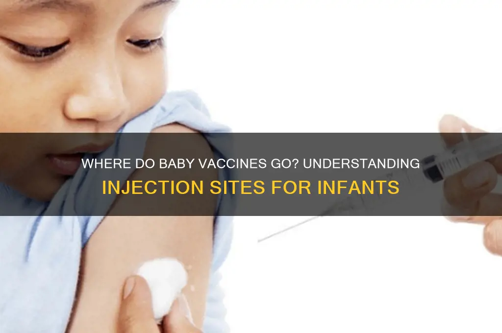 which part of the body are babies vaccines