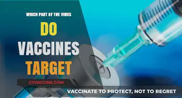 How Vaccines Target Specific Viral Components for Effective Immunity