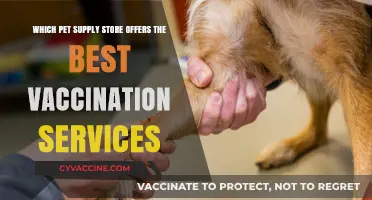 Top Pet Supply Stores for Reliable and Affordable Vaccination Services