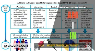 Understanding Your COVID-19 Vaccine Phase: A Simple Guide
