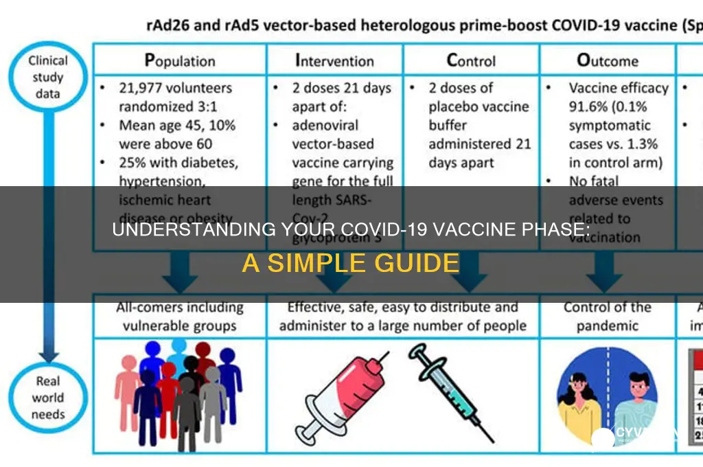 which phase of the vaccine am i in