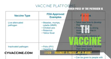 Understanding Vaccines: Which Pathogen Component Triggers Immunity?