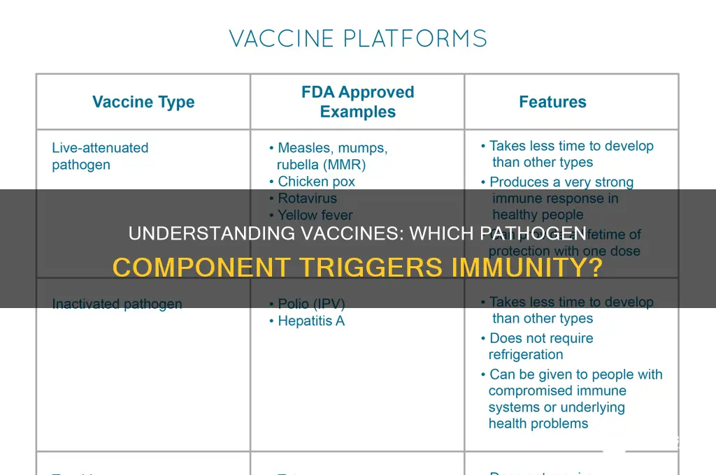 which piece of the pathogen is in th vaccine