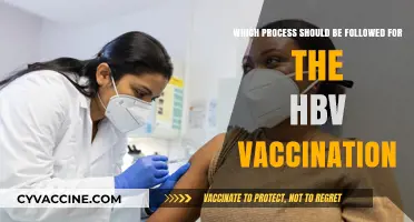 Step-by-Step Guide to Administering the HBV Vaccination Safely