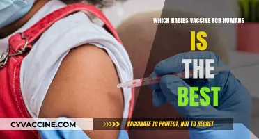 Choosing the Best Rabies Vaccine for Humans: A Comprehensive Guide