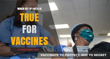 Vaccine Facts Unveiled: Separating Truth from Misinformation for Clarity