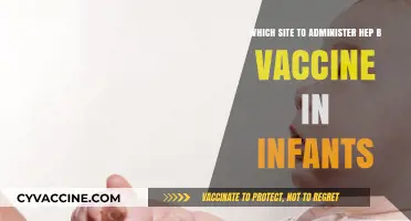 Best Site for Administering Hepatitis B Vaccine in Infants