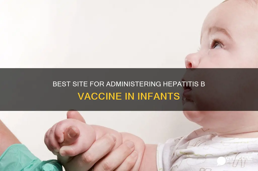 which site to administer hep b vaccine in infants