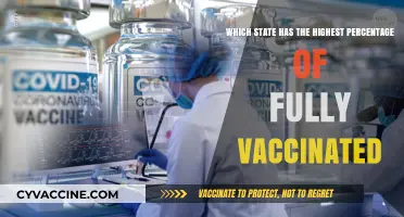 Fully Vaccinated: Which U.S. State Leads in COVID-19 Immunization Rates?