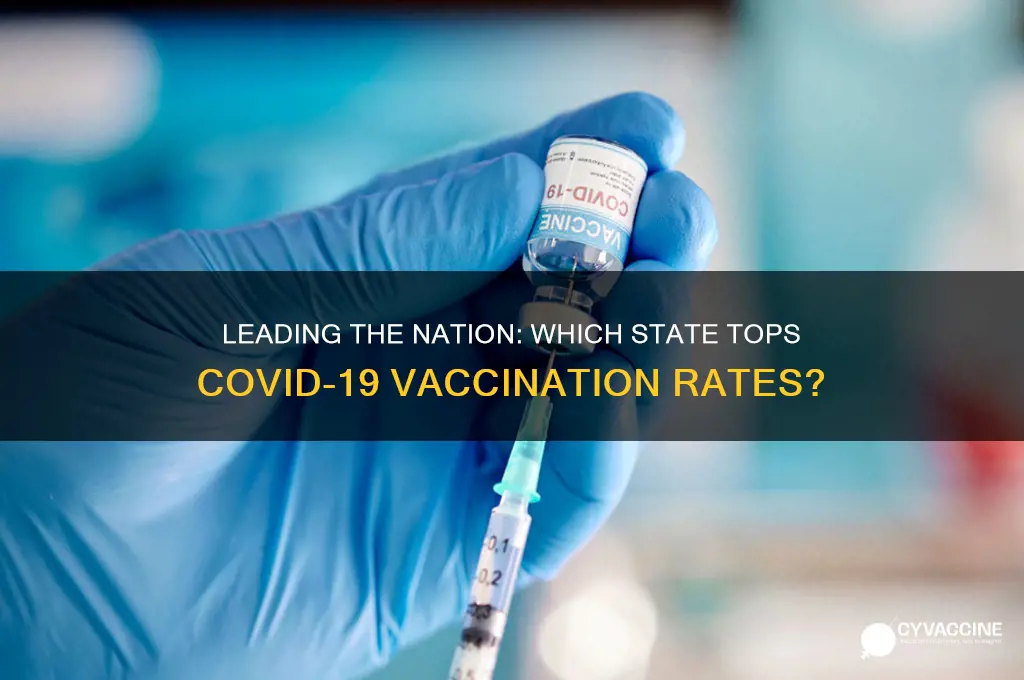 which state has the highest vaccination rate m