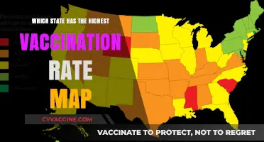 Mapping Vaccination Success: Top State with Highest Vaccination Rates