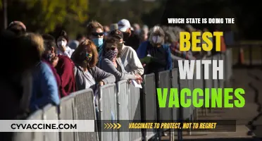 Leading the Charge: Which State Tops COVID-19 Vaccine Rollout?