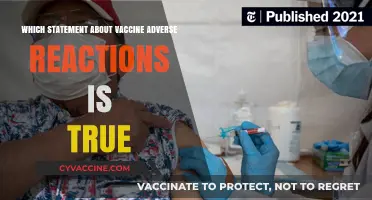Understanding Vaccine Adverse Reactions: Separating Facts from Fiction