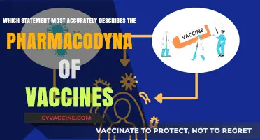 Understanding Vaccine Pharmacodynamics: How Vaccines Interact with the Immune System