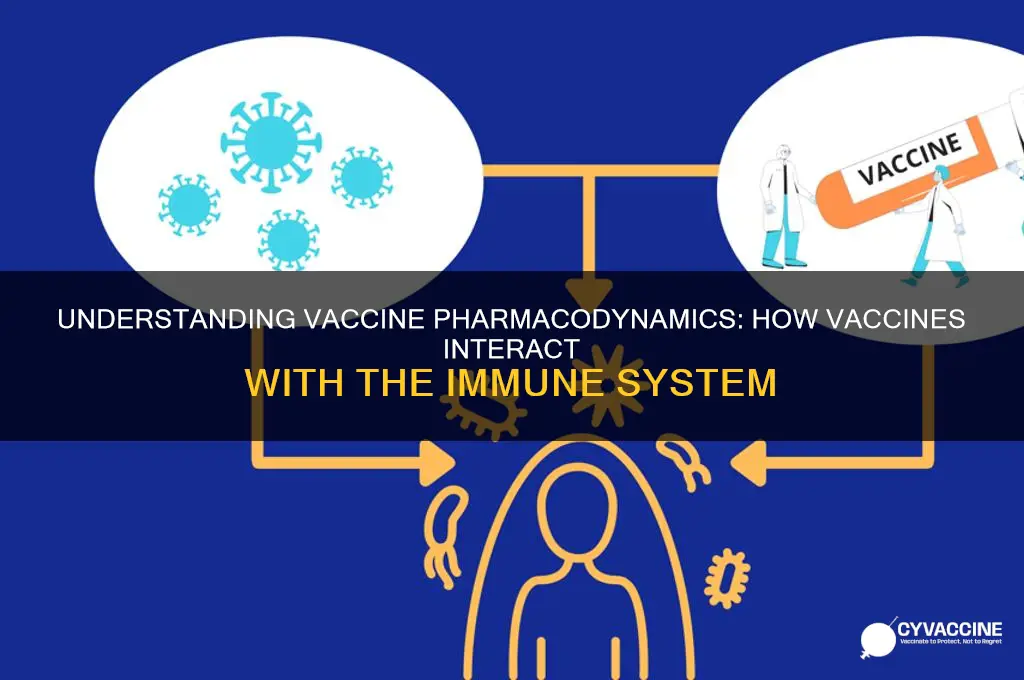 which statement most accurately describes the pharmacodynamics of vaccines