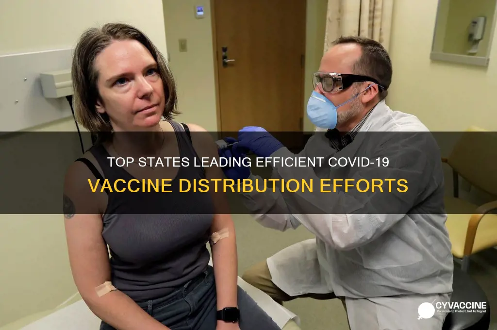 which states are distributing the vaccine the best