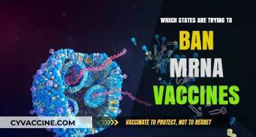 States Challenging mRNA Vaccines: Bans and Legislative Efforts Nationwide