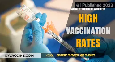 Top US States Leading in High COVID-19 Vaccination Rates