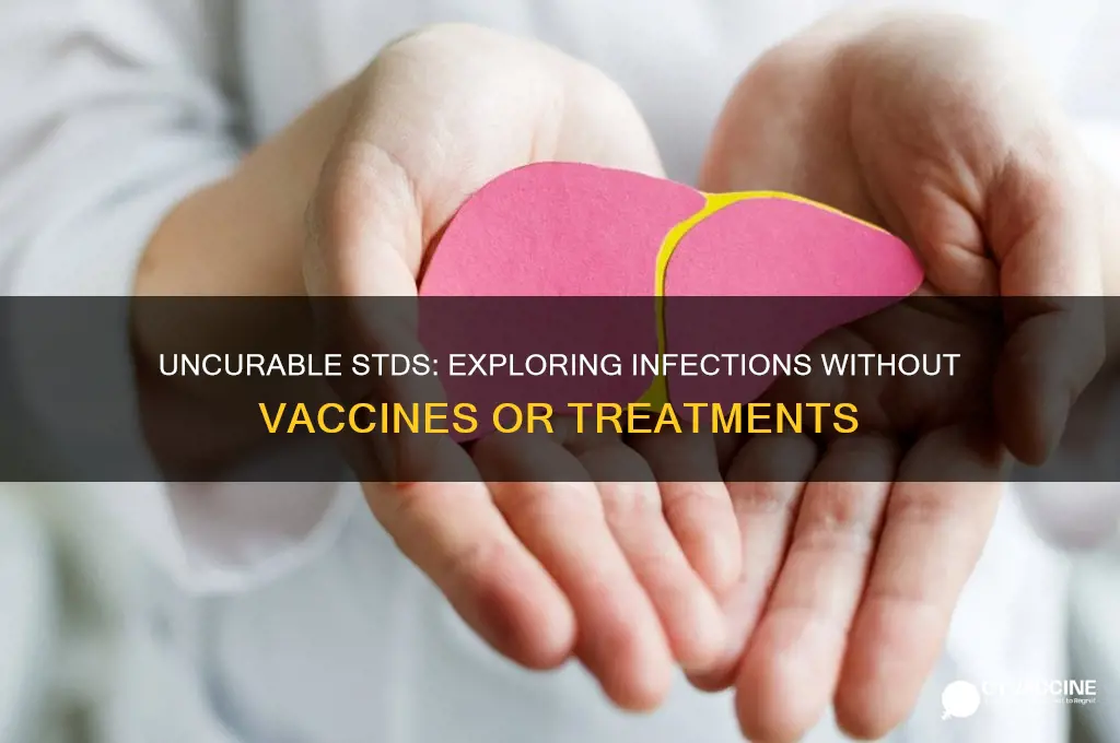 which std is without a cure or a vaccine