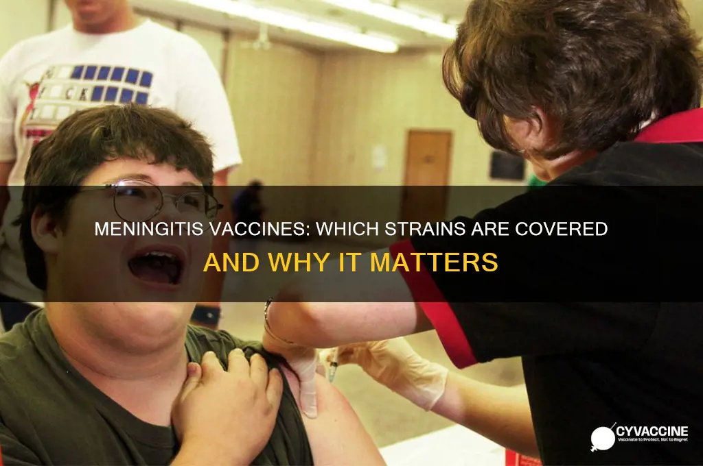 which strains of meningitis are we vaccine covers