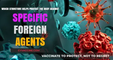 Protecting the Body: Structural Defense Mechanisms