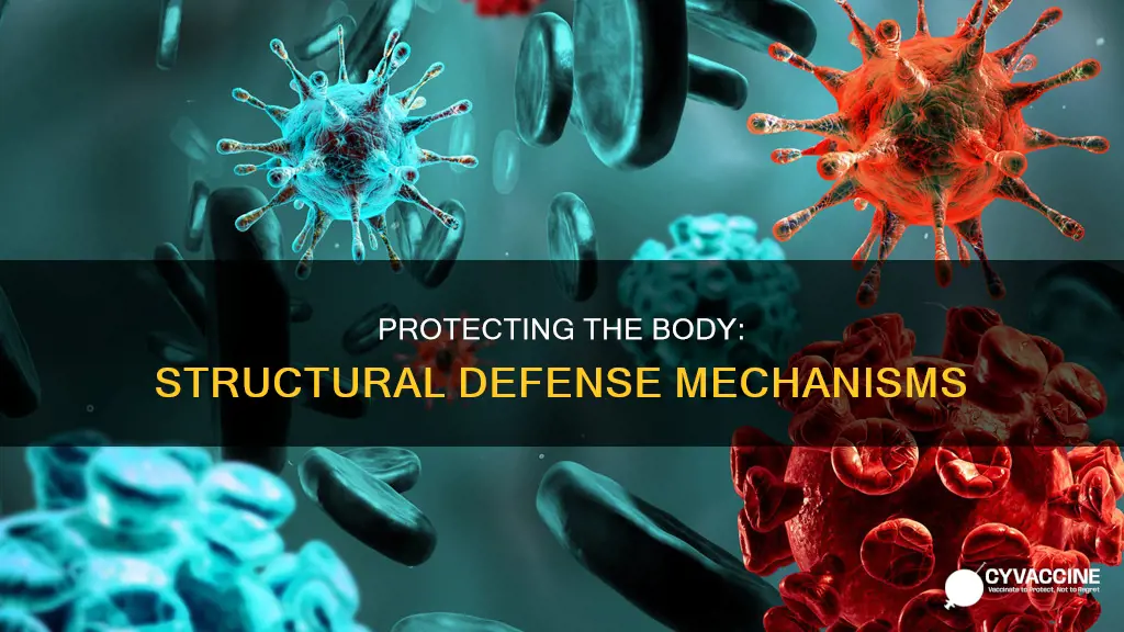 which structure helps protect the body against specific foreign agents